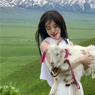 我是冒险王2011